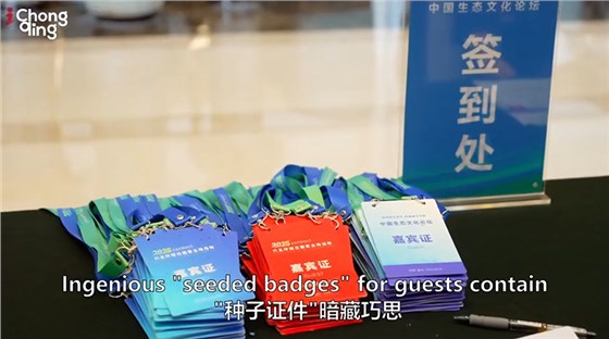 活动创意服务